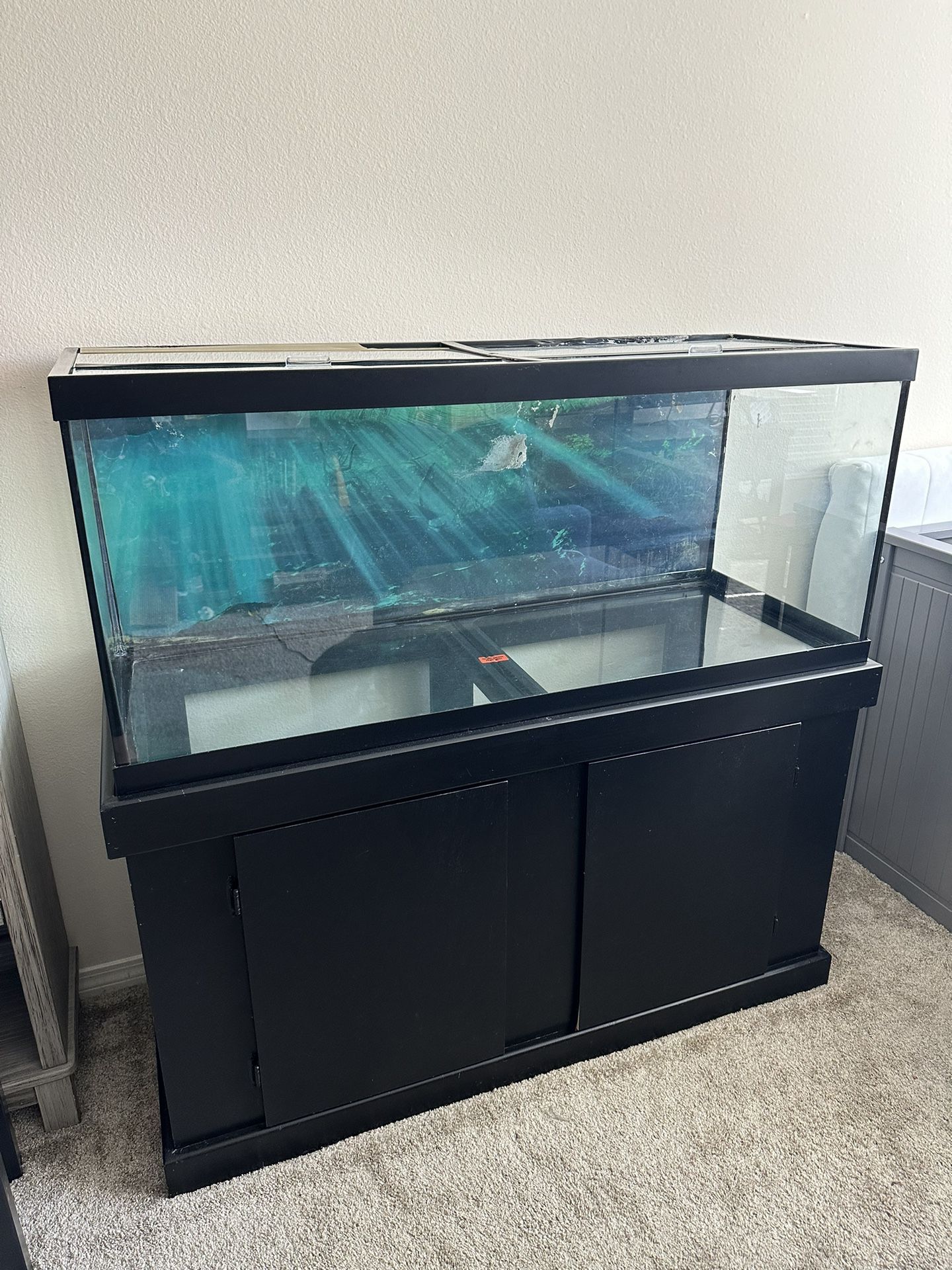 75 Gallon aquarium / Fish Tank + Stand 