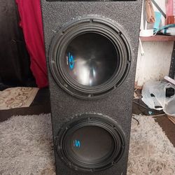 Two 10-in Alpine S Series Competition Subwoofers In A Pro Box