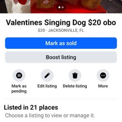 Valentines Singing Dog $20 Obo