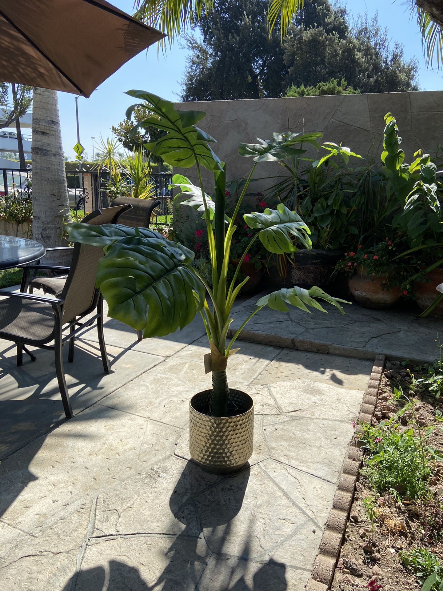 Faux Split Leaf Plant