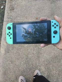 Nintendo DS switch