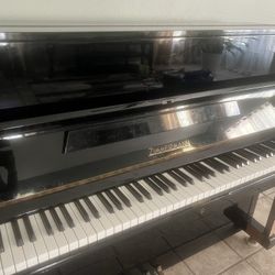 Zimmermann Piano