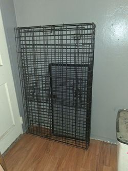 Large kennel