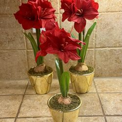 Artificial Amaryllis Plant In Gold Pot