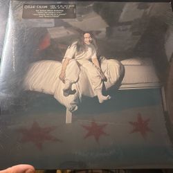 Billie Eilish Vinyl Album “ When We All Fall Asleep”