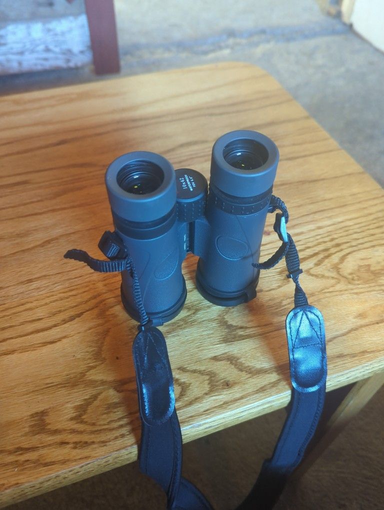 Binoculars (Redfield 10x42)