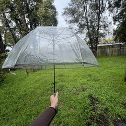 Clear Umbrella 