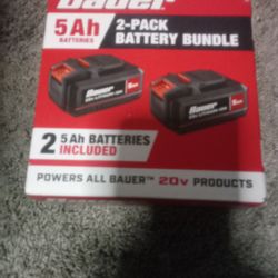 BAUER 20V 5 Ah High-Capacity Lithium-Ion Battery 2 Pack