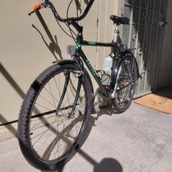 95' Novara Arriba City/Trailer Cruiser - 19"