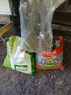 Chicken/chick/bird food