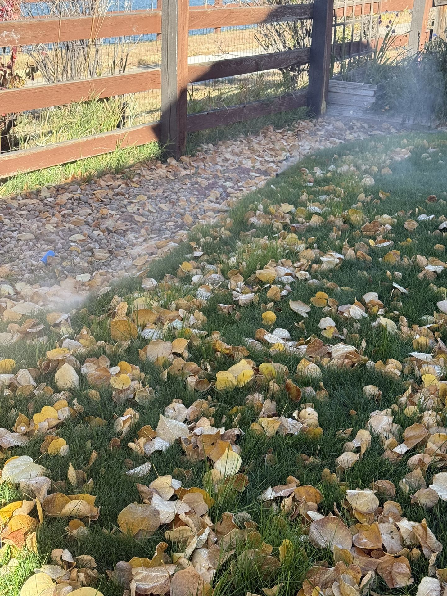 Sprinkler System Blow Out 