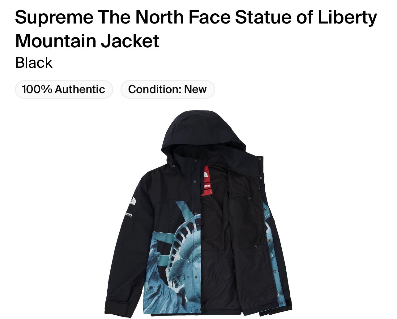 Supreme The North Face Statue Of Liberty Mountain Jacket Medium Brand New