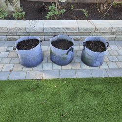 Plant Bags With Soil