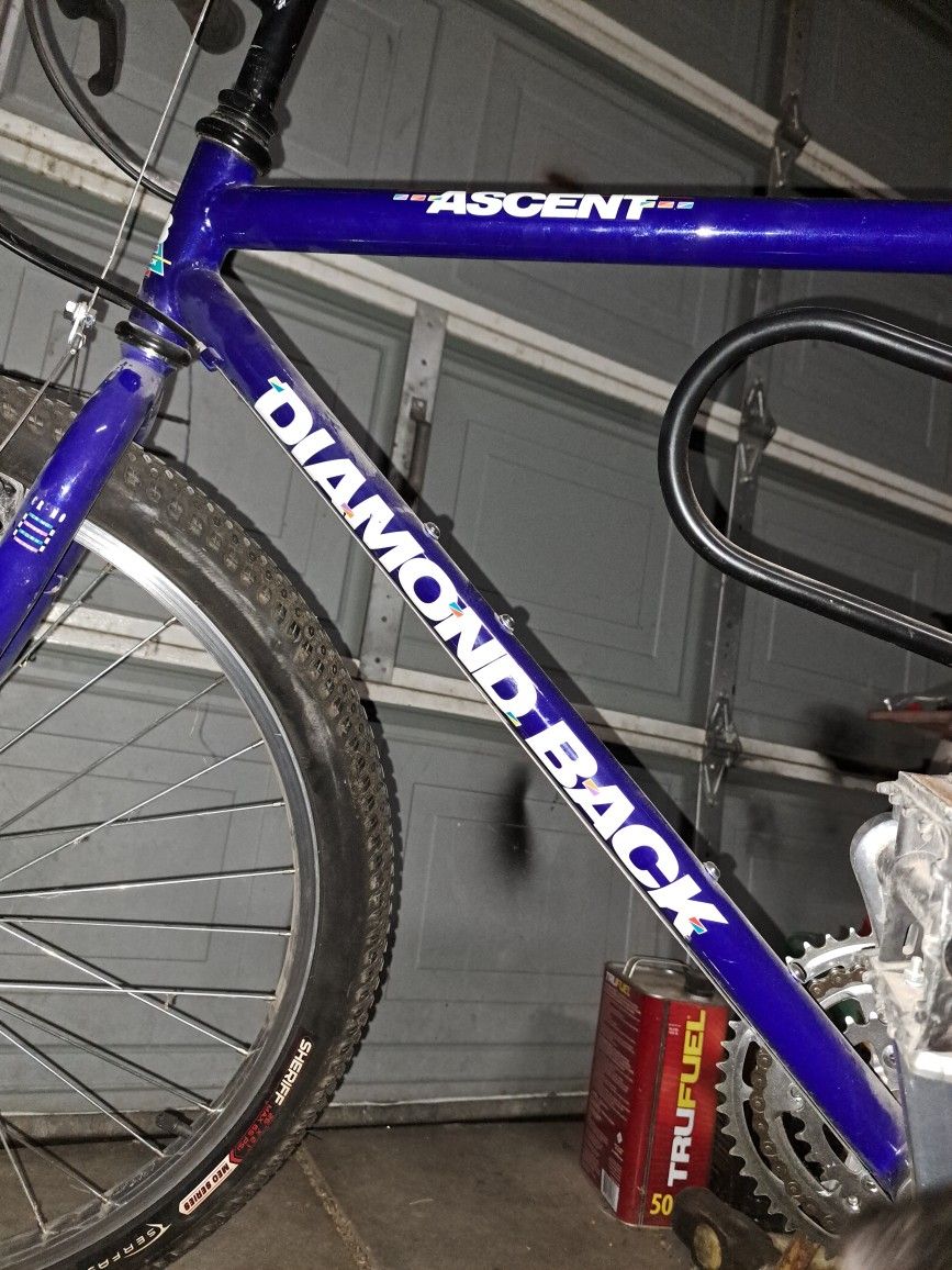Dimond Back Mountain Bike