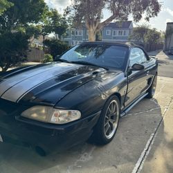 Mustang cobra 