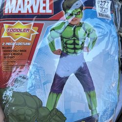 Hulk Costume