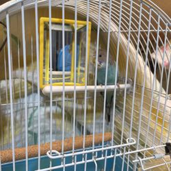 Bird Cage For Parakeets