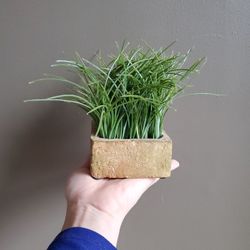 Faux Plant Square