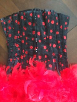 Black and red floral corset