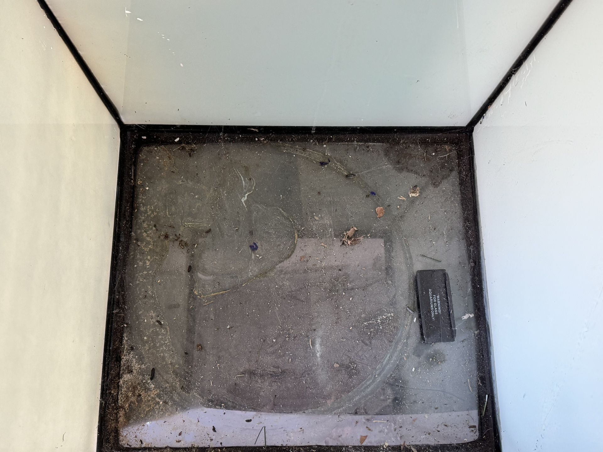 Fish Tank