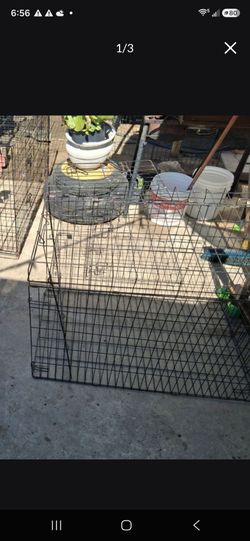 Dog kennel