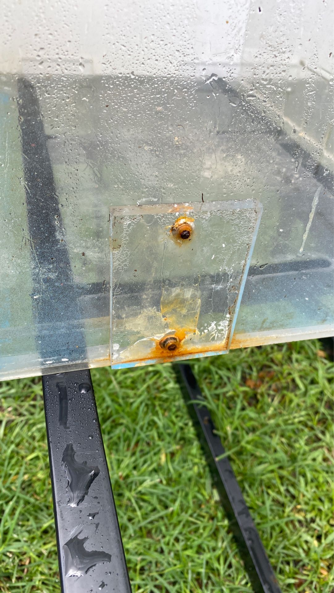 120 gallon Acrylic used aquarium 3 chamber sump for saltwater tank for