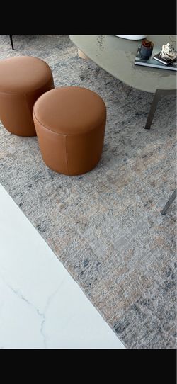 Big area rug (blue and beige