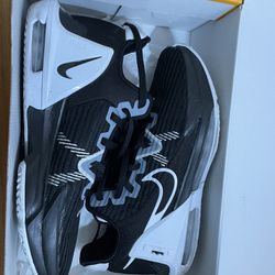 Lebron Nike Shoes Size 12