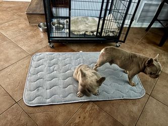 Pet Cooling Mat