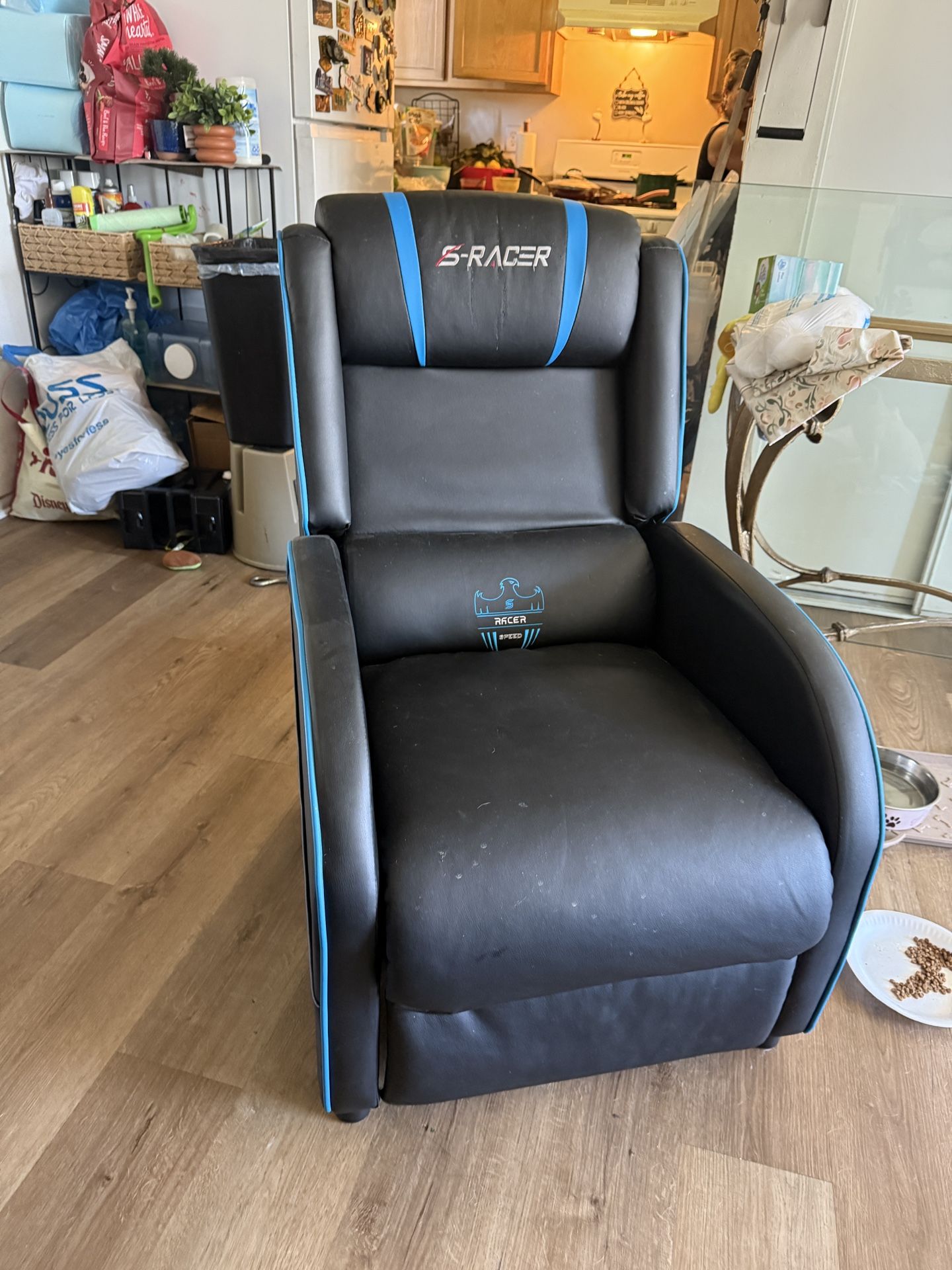 Reclining Chair 