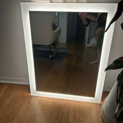 Robern Vanity Mirror With Defogger