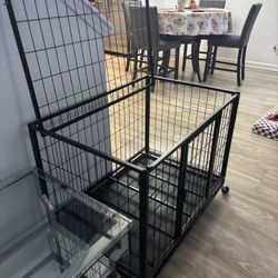 Dog Cage