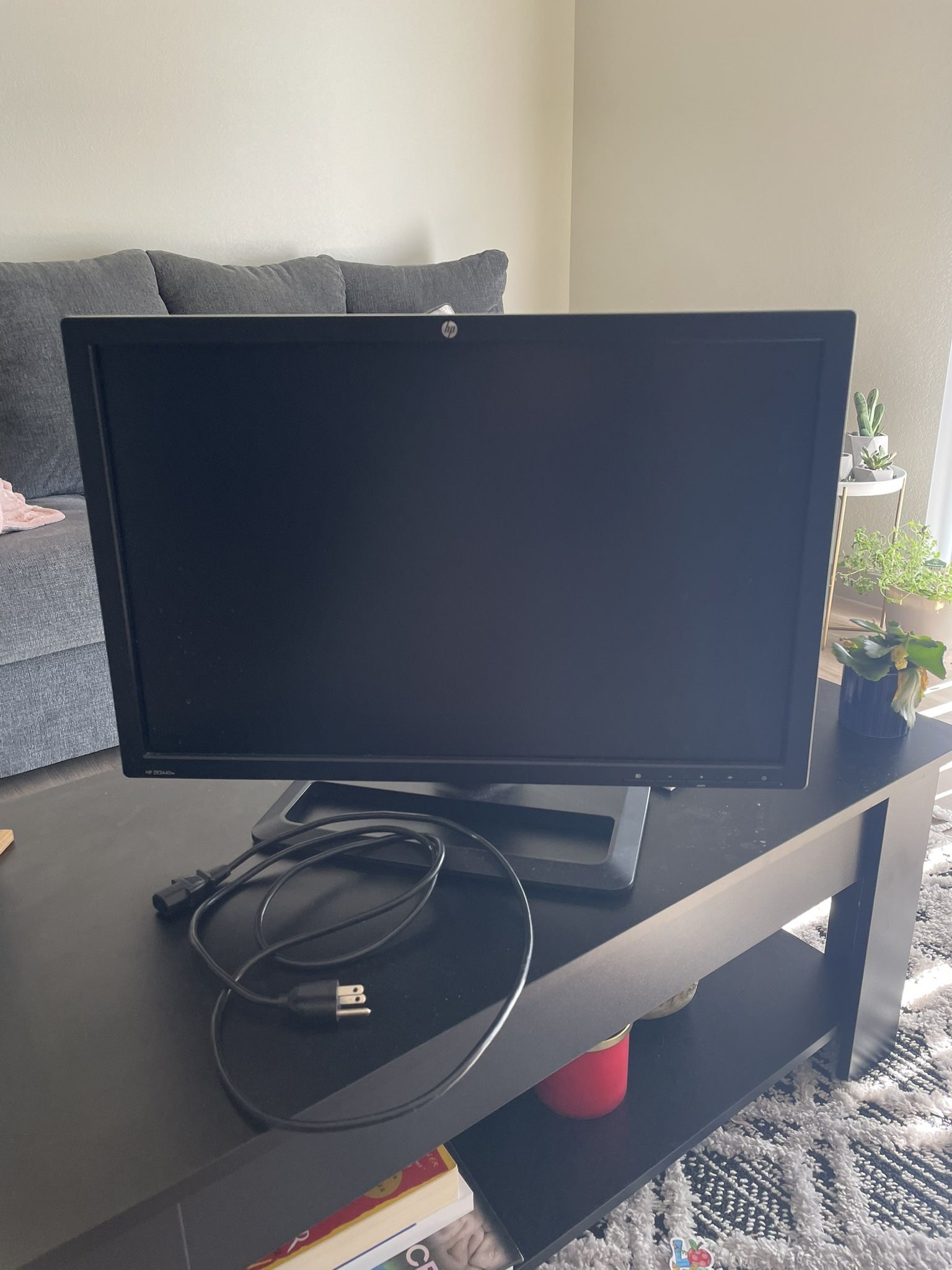 HP Monitor