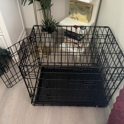 Dog Crate 