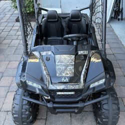 Realtree 24V Side By Side With Remote