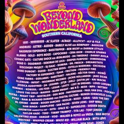 Beyond 2025 Ticket for Saturday $150 or best offer lmk
