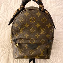 Authentic Louis Vuitton Palm Springs Mini