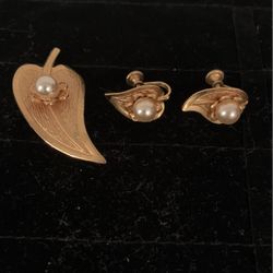 Brooch And Earrings