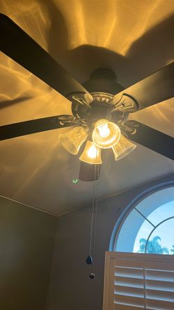 2 Fans For $150