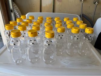 31 bear cups