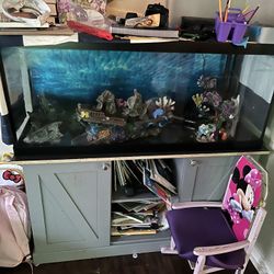Fish Tank