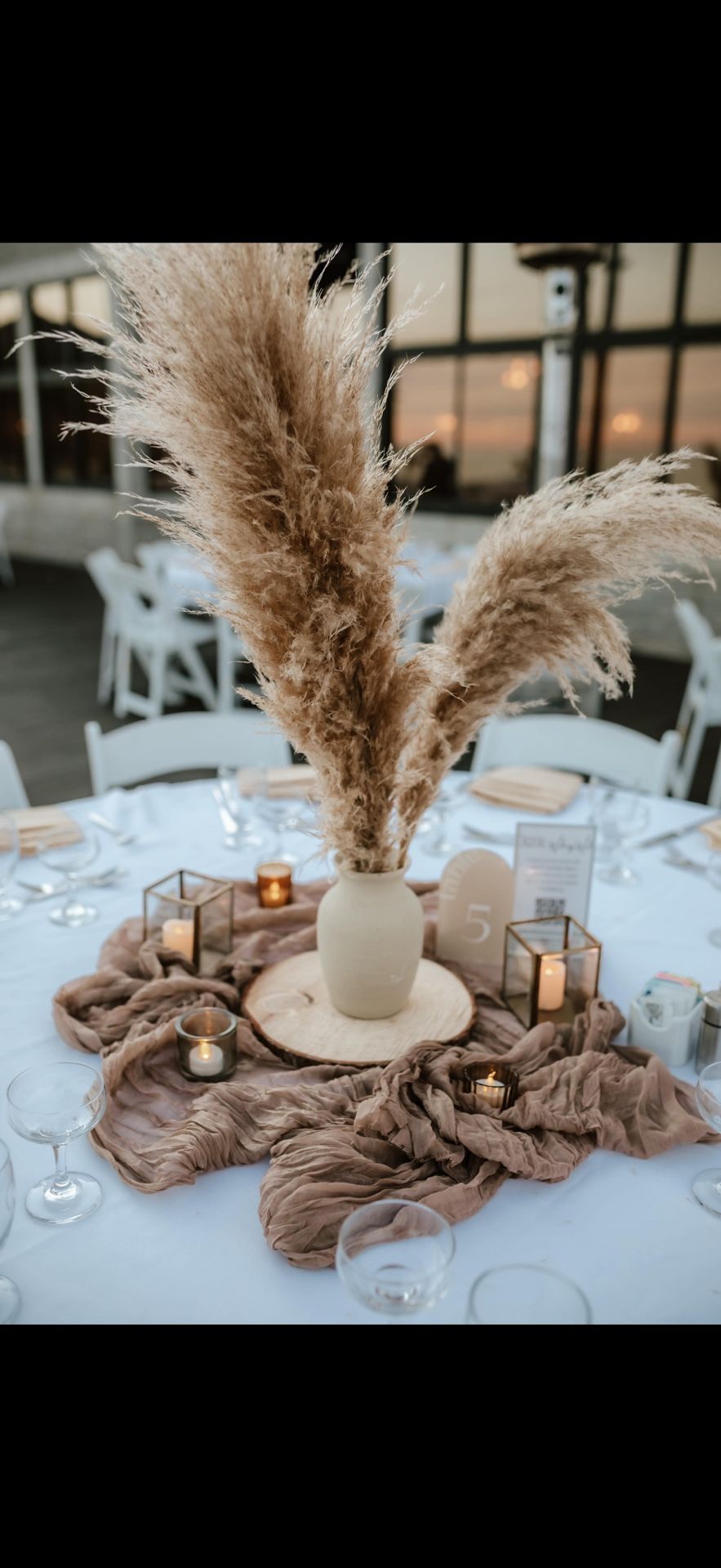 Pampas Grass