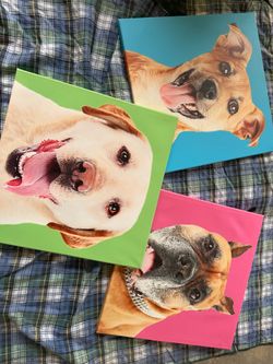 Dog wall canvas art