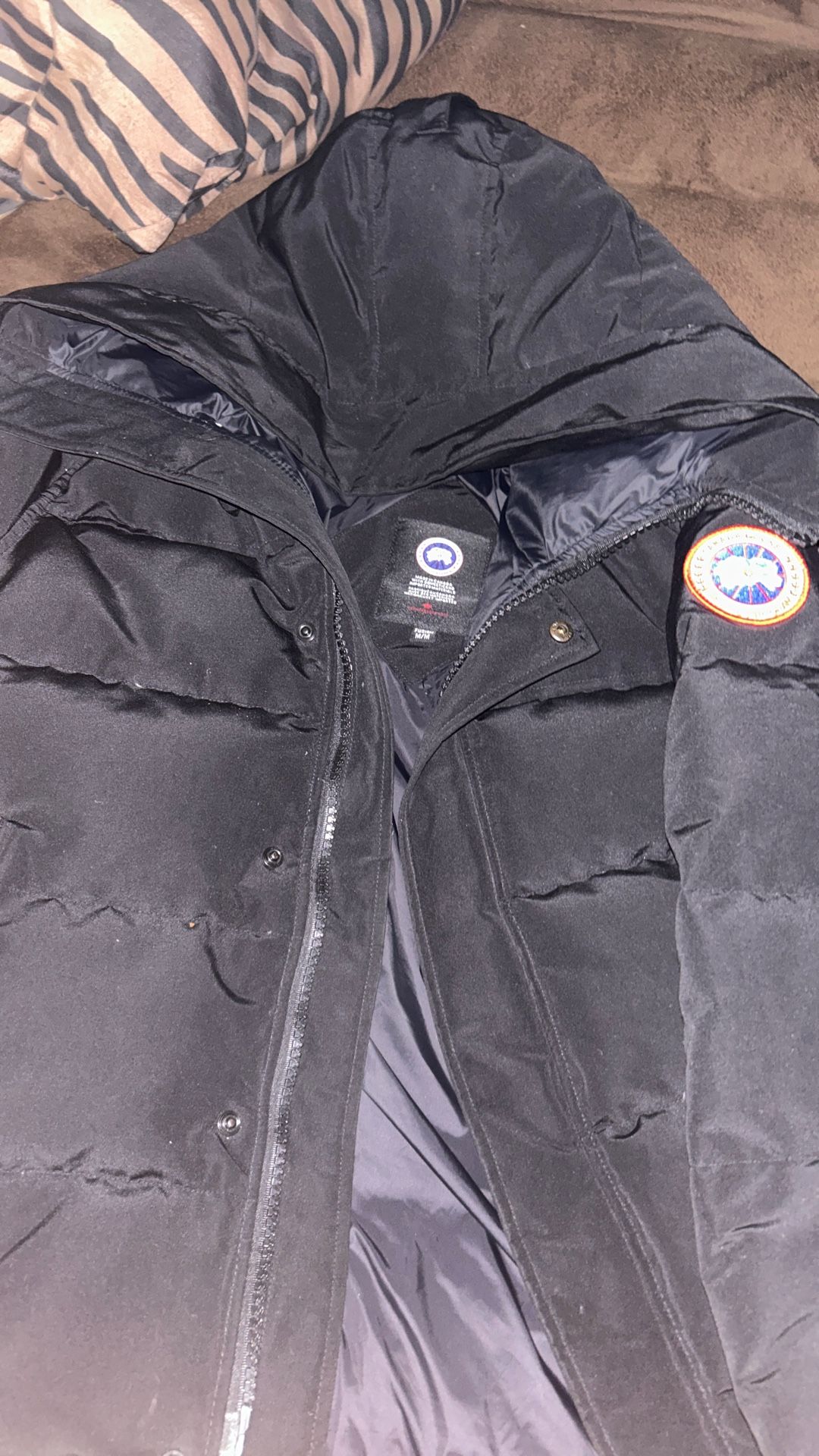 Canada Goose