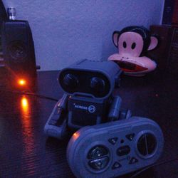 Remote Control Robot For Sell