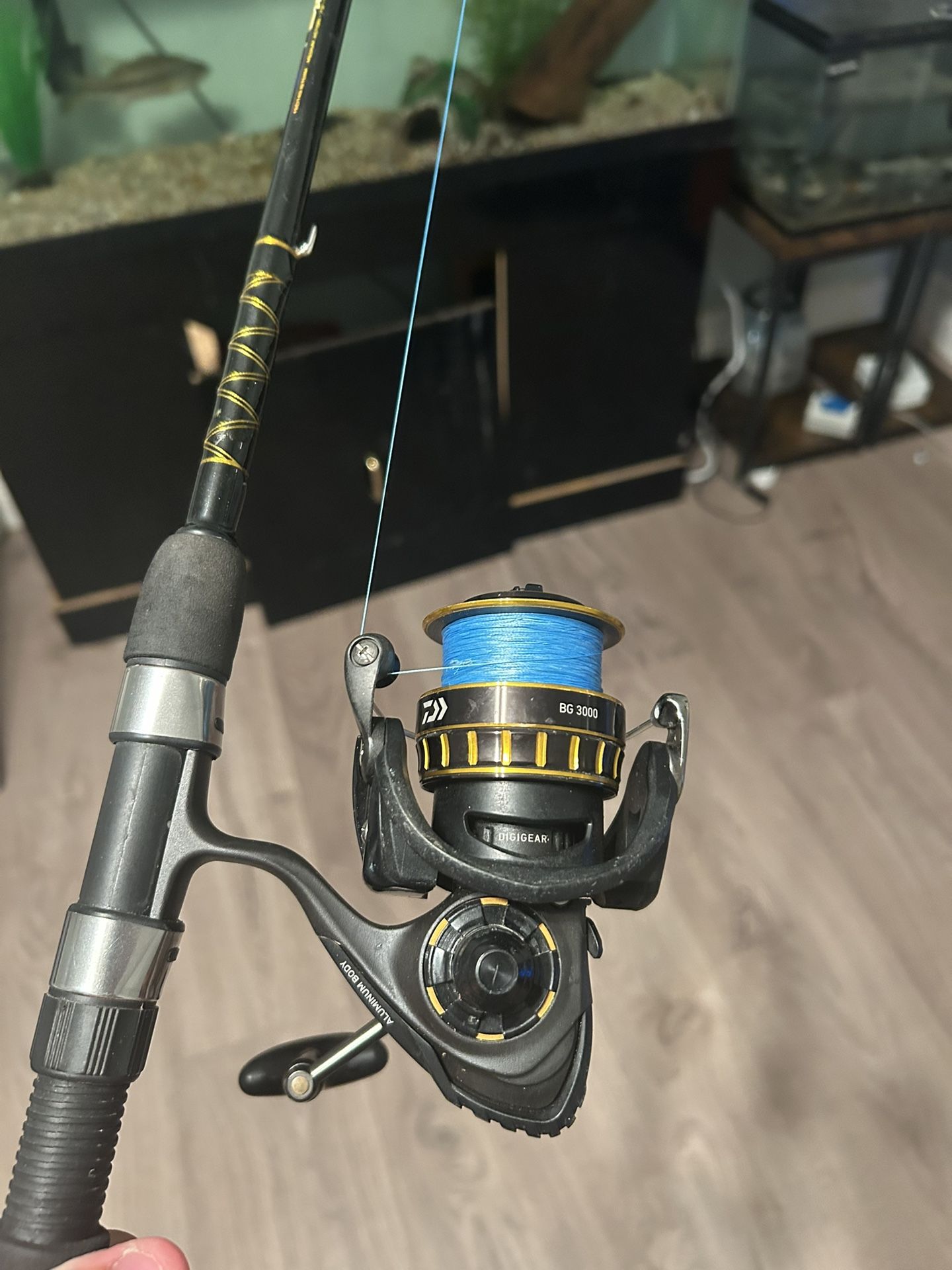 Diawa BG 3000