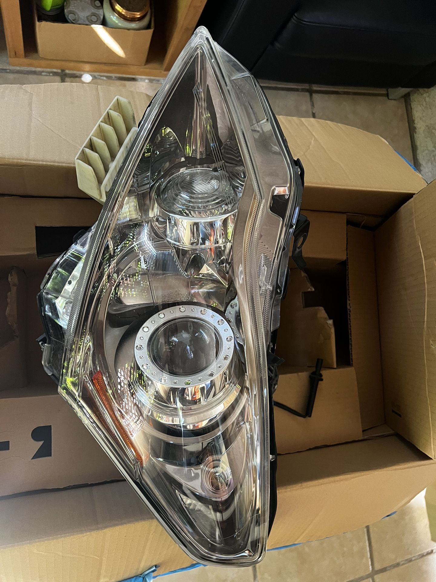 Lamp Assembly Drivers Side