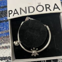 Pandora Charms 