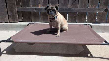 Outdoor Dog Bed