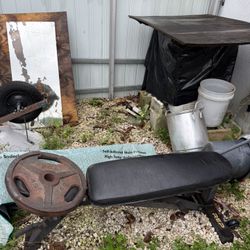 Weight Bench And 45lb Plate